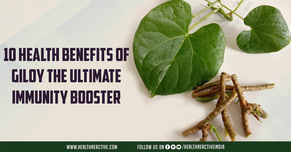 10 Health Benefits of Giloy the Ultimate Immunity Booster
