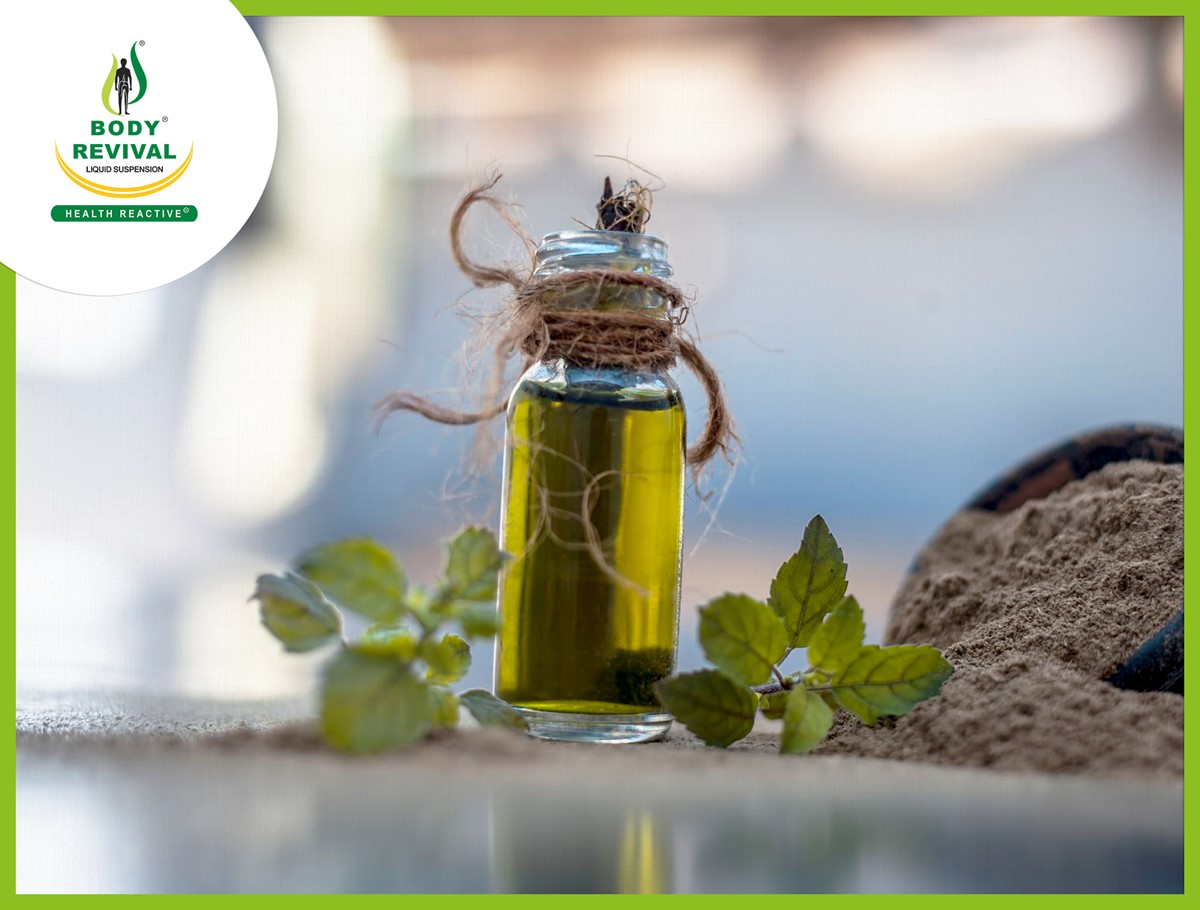 4 Health Benefits of (Bacopa Monnieri) Brahmi