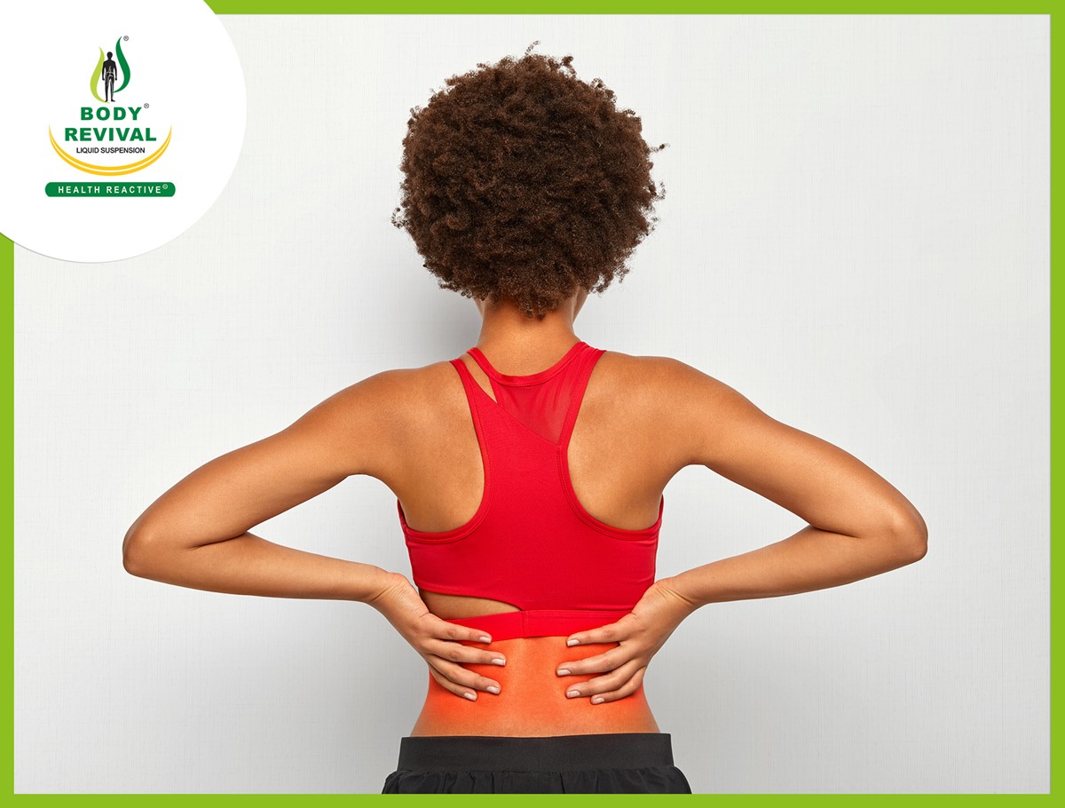 Lower बैक Pain: Symptoms, Causes, and Exercises