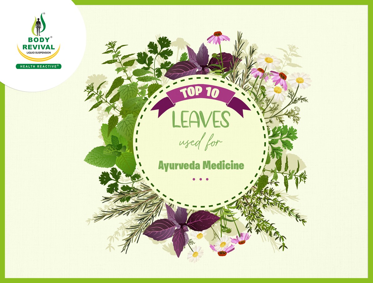 Top 10 medicinal plants name List Used As Medicine Leaves In Ayurveda