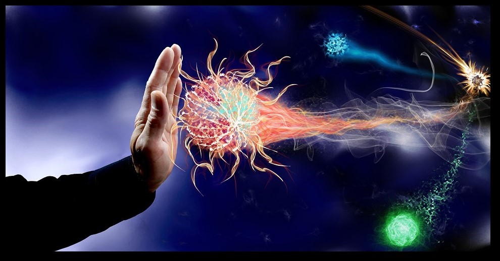 5 natural immunity enhancers and where to find them