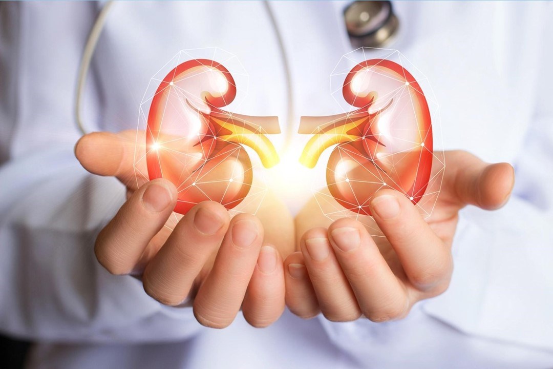 8 Tips to Keep Your Kidney Healthy Forever