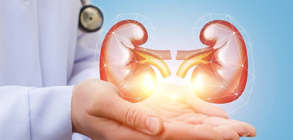 Ayurvedic Home Remedies to make Kidneys Strong