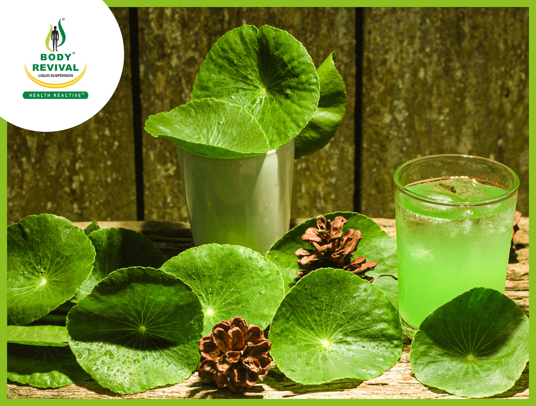 Ayurvedic Herb Brahmi (Bacopa Monnieri) Uses, Benefits, Side Effects