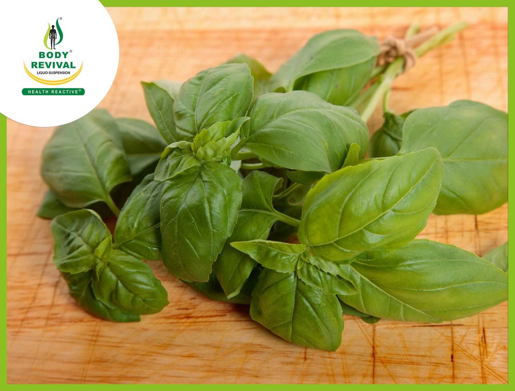 10 Health Benefits of Basil Leaves