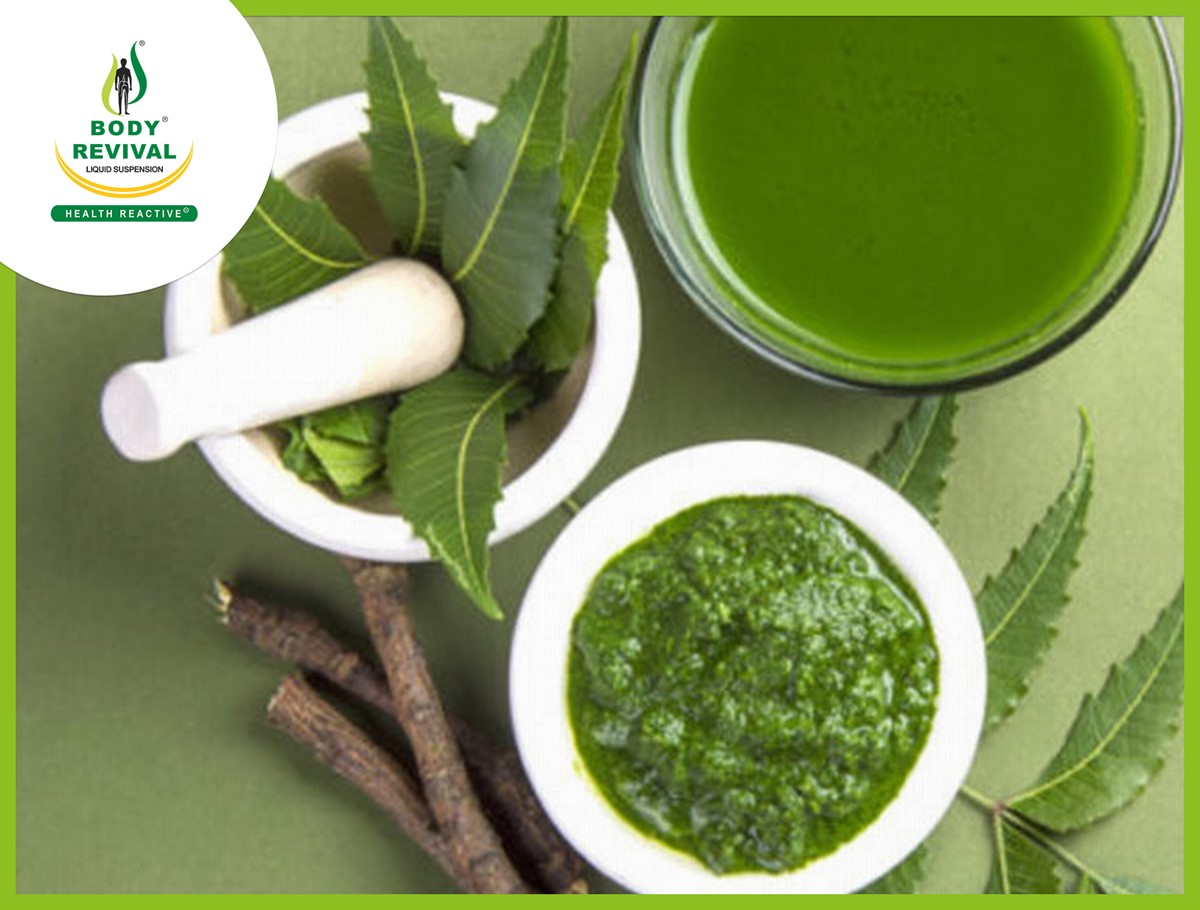 Neem Plant – Information With Benefits of Leaves, Oil & Bark