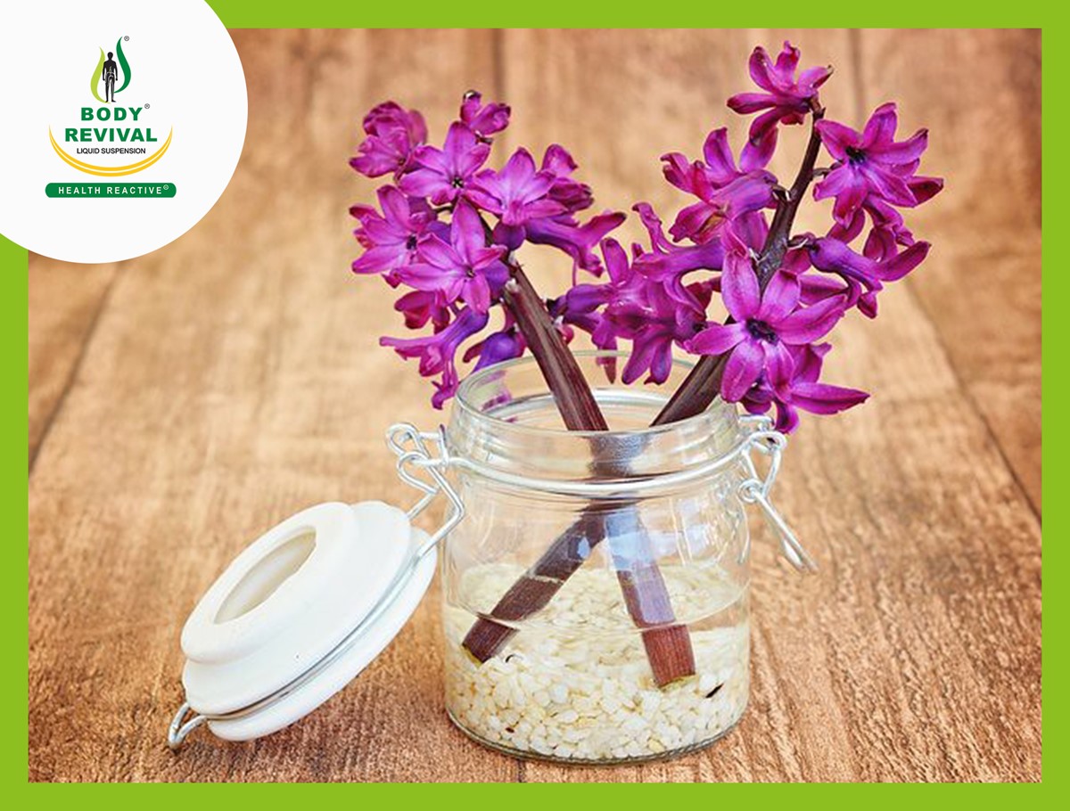 Top 10 Indian Medicinal Flowers Plants And Their Uses