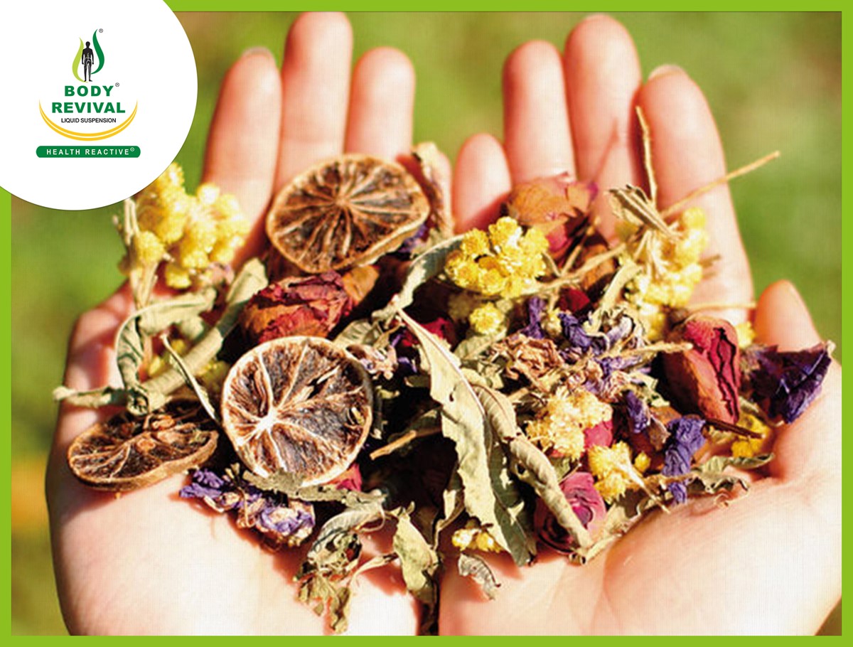 List Of Ayurvedic Herbs For Pain Relief & Inflammation