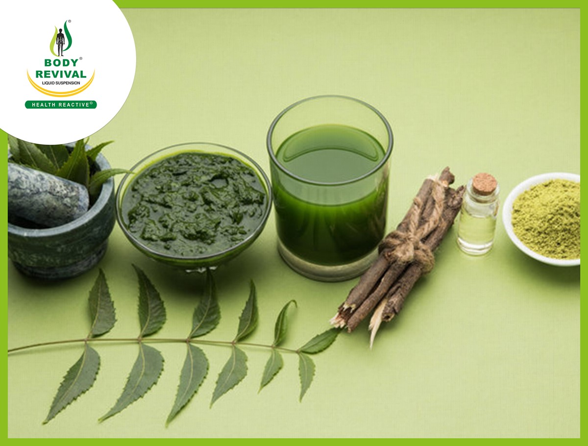 Neem Tree – The Amazing Plant Uses For Today & Future Health