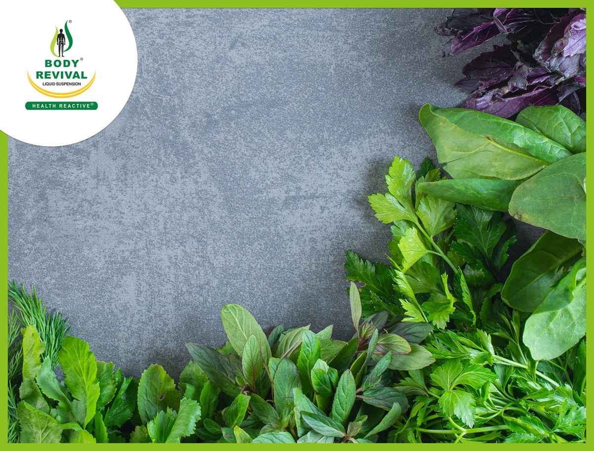 Top 10 Leaves Name List Used As Medicine Leaves In Ayurveda