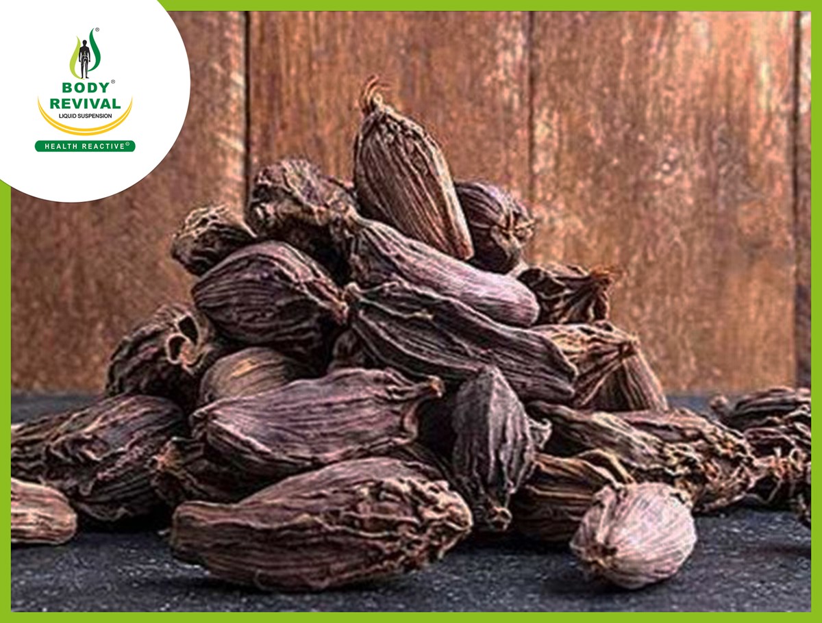 Black Cardamom (Badi Elaichi) Health Benefits & Side Effects