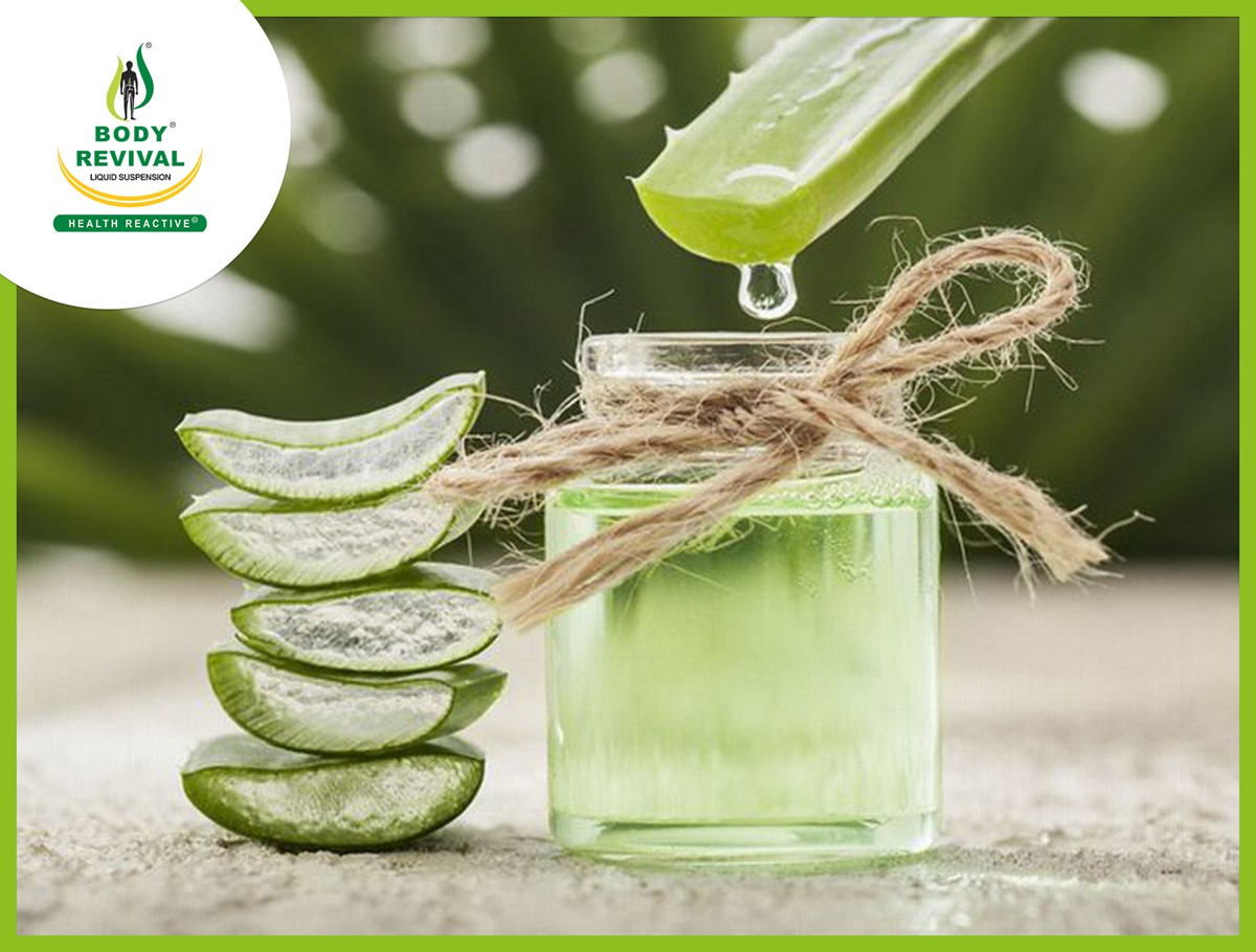 Top10 Health Benefits & Uses Of Aloe Vera (Ghritkumari)