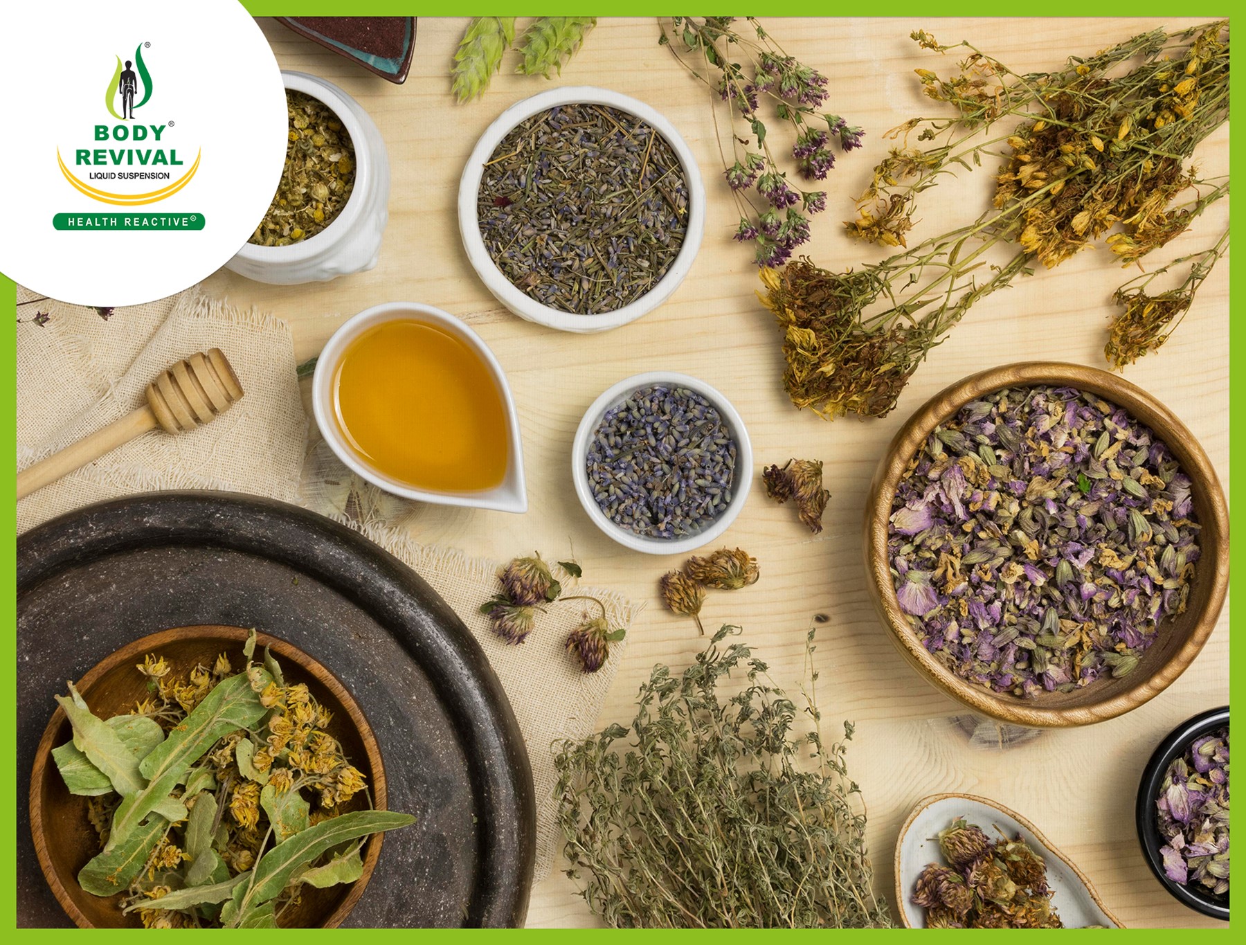 What Are The 8 Main Branches Of Ayurveda?