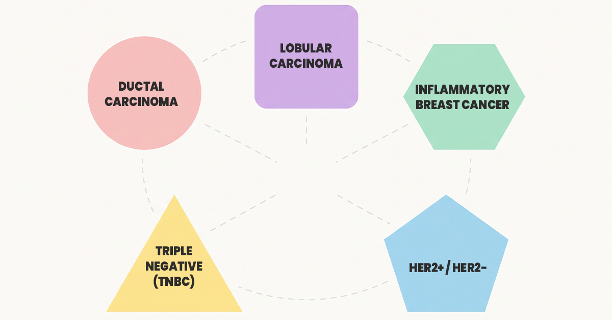 breast cancer subtypes diagram base