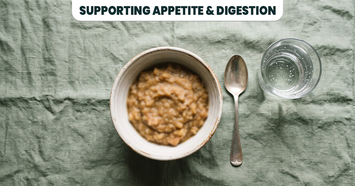 Simple warm meal representing nutrition support for lung cancer patients during chemotherapy