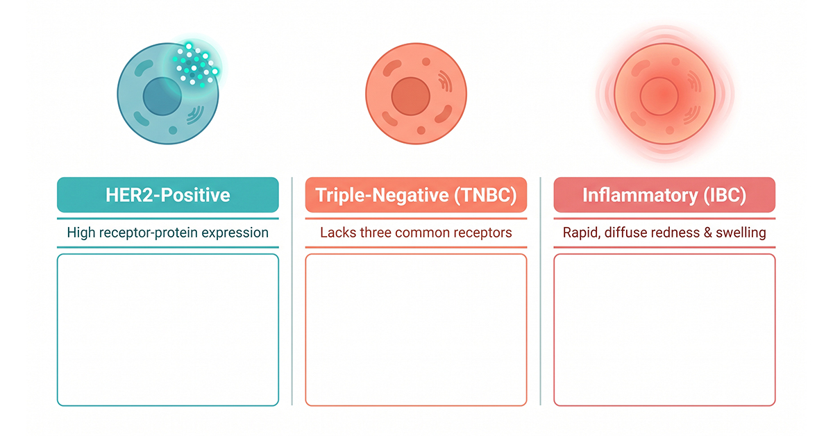 Comparison illustration of breast cancer types — HER2-positive, triple-negative, and inflammatory breast cancer