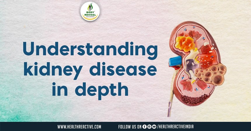 Navigating the Depths: Understanding Kidney Disease