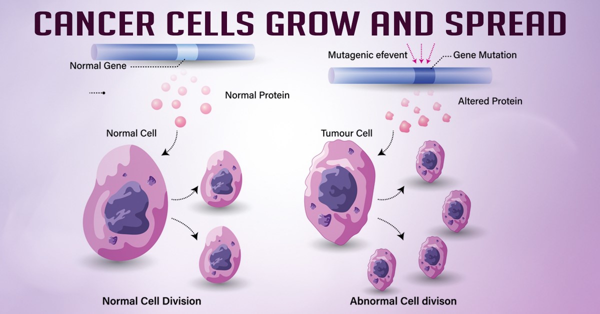 How Do Cancer Cells Grow And Spread Health Reactive Body Revival