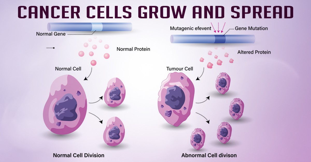 How Do Cancer Cells Grow And Spread Health Reactive Body Revival 