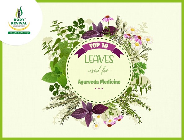 Top 10 Leaves Name List Used As Medicine Leaves In Ayurveda