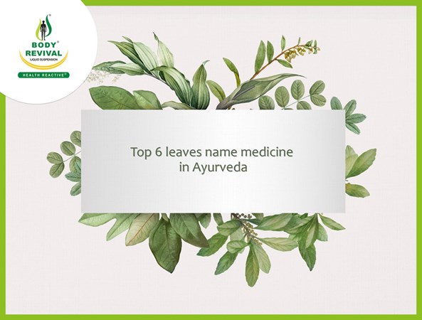 Top 6 Leaves Name Medicine In Ayurveda