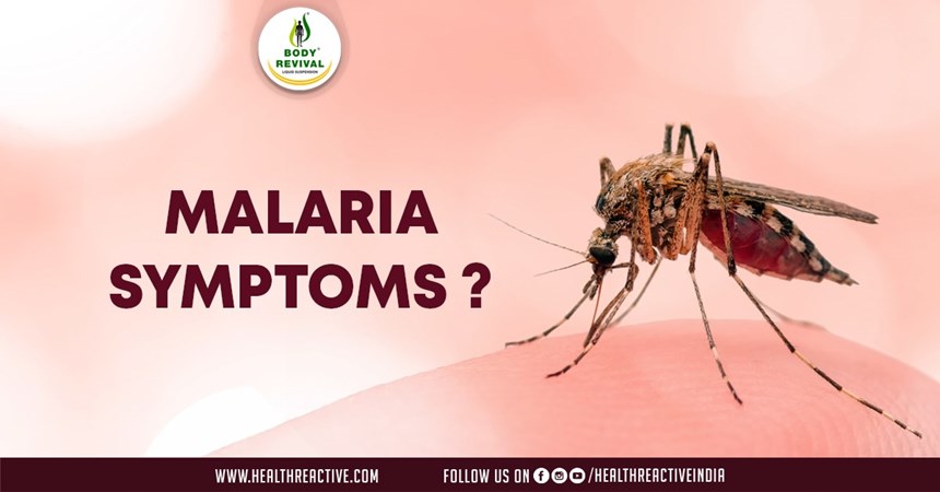 Unmasking Malaria: Understanding the Symptoms