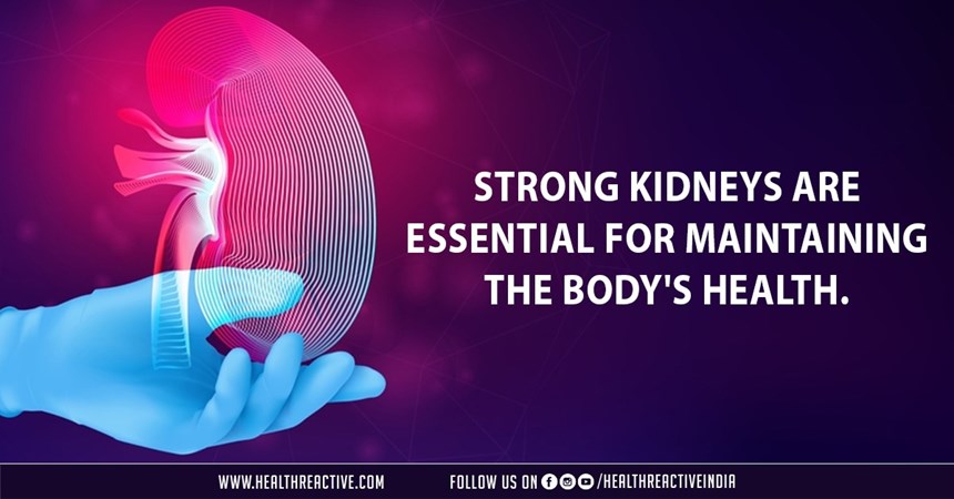 Strong kidneys are essential for maintaining the body